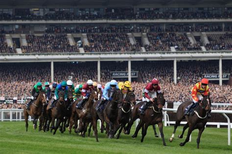super heinz bets|7 horse multiple bet.